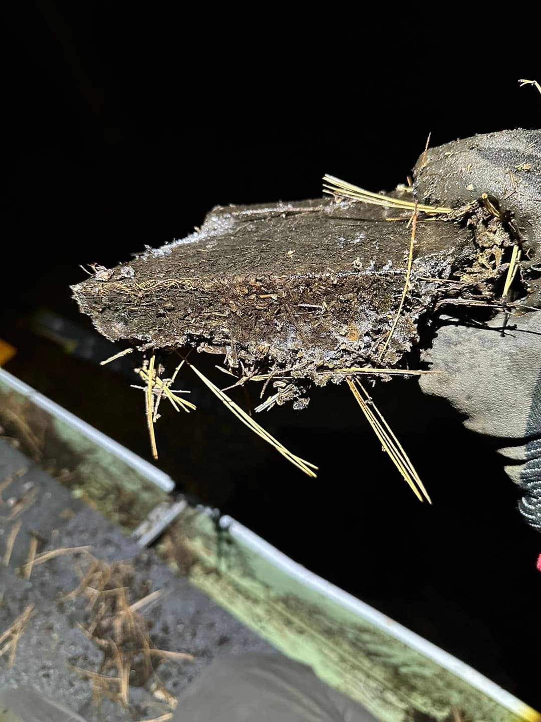 Close-up of a hand holding a piece of wood with straw and debris, highlighting texture and detail.