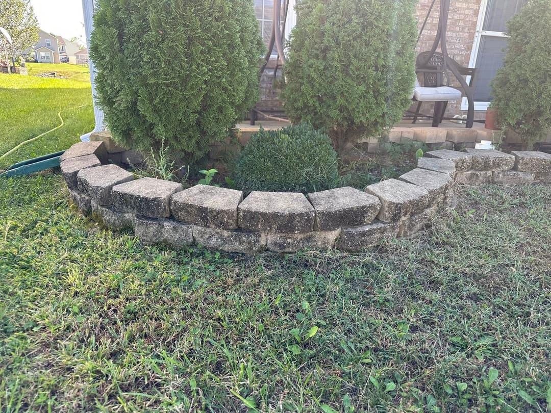 Curved stone garden wall with shrubs and grass in a residential landscape setting.